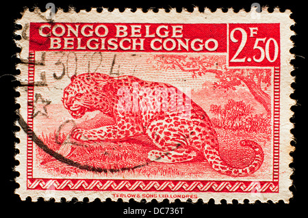 alte Briefmarke von Belgisch-Kongo Stockfoto