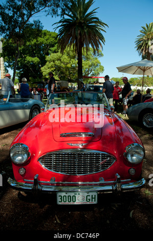 Klassische rote Austin-Healey 3000 Stockfoto