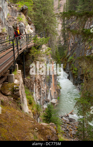 Laufsteg über Johnston Creek entlang Johnston Canyon Trail, Banff Nationalpark, Alberta, Kanada Stockfoto