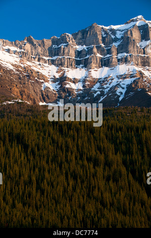 Mount Temple von Rockpile Trail, Banff Nationalpark, Alberta, Kanada Stockfoto