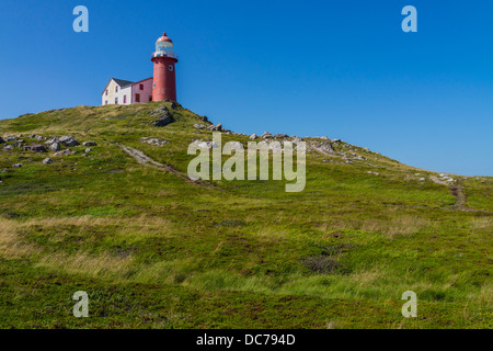 Die ferryland Leuchtturm auf einem hohen Hügel in Neufundland, Kanada. Stockfoto