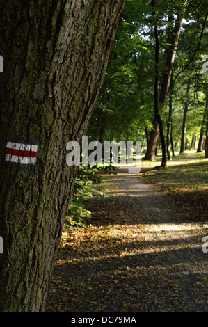 Trail loderte in Polen Stockfoto