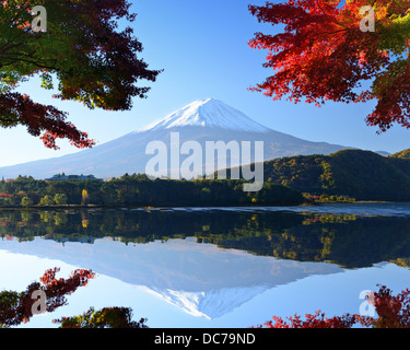 Mt. Fuji und Herbst Laub am Kawaguchi-See. Stockfoto