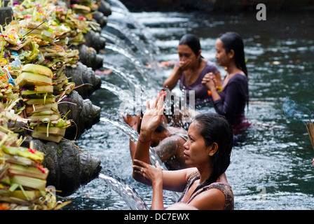 Gläubige machen ein Angebot an den Tirta Empul Tempel auf 6. Mai 2013 in Bali, Indonesien. Stockfoto