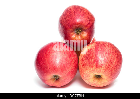 Drei rote Gala Äpfel auf einem weißen Hintergrund Stockfoto