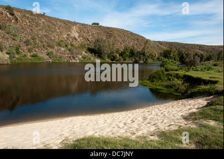 Breede River, Bontebok Nationalpark, Südafrika Stockfoto