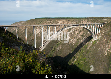 Bloukrans-Brücke über den Bloukrans River, Garden Route, Südafrika Stockfoto