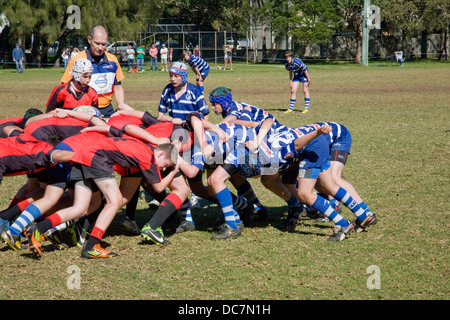 Australische Jungen spielen Rugby union in Newport, Sydney, Australien, Match-Schiedsrichter überwacht die Scrum-Formation Stockfoto