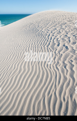 Düne, De Hoop Nature Reserve, Western Cape, Südafrika Stockfoto