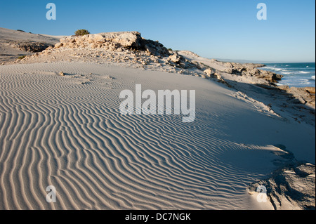 Düne, De Hoop Nature Reserve, Western Cape, Südafrika Stockfoto