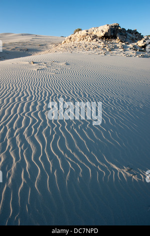 Düne, De Hoop Nature Reserve, Western Cape, Südafrika Stockfoto