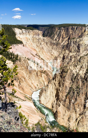 Großartige Aussicht auf North Rim mit Blick auf den Grand Canyon des Yellowstone, Yellowstone-Nationalpark, Wyoming, USA Stockfoto