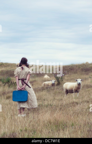 ein Mädchen in ein Vintage-Kleid auf einer Wiese mit Schafen Stockfoto