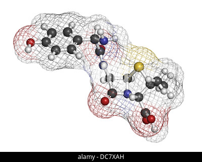 Amoxicillin Beta-Lactam-Antibiotika Medikament, chemische Struktur. Atome werden als Kugeln mit konventionellen Farbkodierung dargestellt. Stockfoto