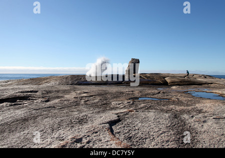 Blasloch Eruption am Bicheno an der Ost Küste von Tasmanien Stockfoto