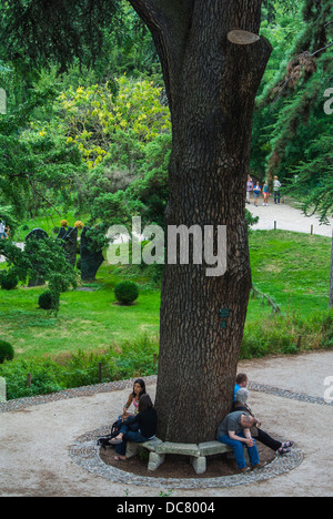 Paris, Frankreich, Frau, die vor einem Baum sitzt, Leute, die den Stadtpark genießen, 'Jardin des Plantes', alte Zedernbäume aus dem Libanon, Stadtgarten, sitzen unter dem Baum Stockfoto