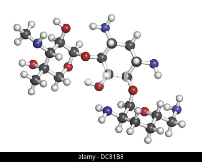 Gentamicin antibiotischen Medikaments (Aminoglykosid-Klasse), chemische Struktur. Atome werden als Kugeln mit herkömmlichen Farbe dargestellt. Stockfoto