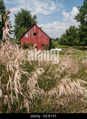 Alte rote Scheune auf Hof Stockfoto