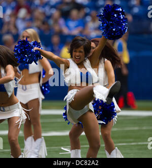 Indianapolis, IN, USA. 11. August 2013. 11. August 2013: Indianapolis Colts Cheerleader während des Spiels zwischen den Buffalo Bills und die Indianapolis Colts im Lucas Oil Stadium in Indianapolis, IN. Die Buffalo Bills besiegte die Indianapolis Colts 44-20. Bildnachweis: Csm/Alamy Live-Nachrichten Stockfoto