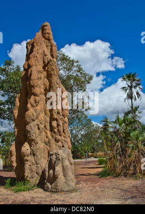 Termite Mound Stockfoto