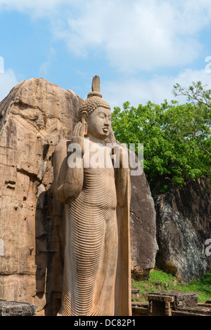 Avukana stehende Buddha-Statue, Sri Lanka. 40 Fuß (12 m) hoch, geschnitzt aus einem großen Granitfelsen im 5. Jahrhundert. Stockfoto