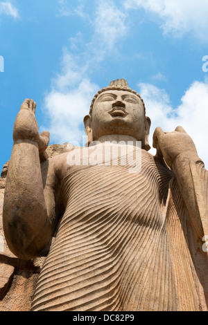 Avukana stehende Buddha-Statue, Sri Lanka. 40 Fuß (12 m) hoch, geschnitzt aus einem großen Granitfelsen im 5. Jahrhundert. Stockfoto