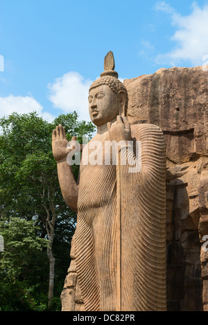 Avukana stehende Buddha-Statue, Sri Lanka. 40 Fuß (12 m) hoch, geschnitzt aus einem großen Granitfelsen im 5. Jahrhundert. Stockfoto