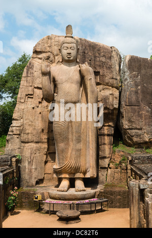 Avukana stehende Buddha-Statue, Sri Lanka. 40 Fuß (12 m) hoch, geschnitzt aus einem großen Granitfelsen im 5. Jahrhundert. Stockfoto