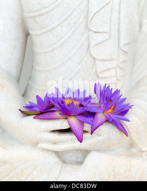 Frische Rauchfang Sterne Seerose oder Sterne Lotusblüten in Buddha Bild Hand Stockfoto