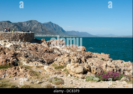 Menschen bei der Walbeobachtung Aussichtspunkt an der alte Hafen von Hermanus, Western Cape, South Africa Stockfoto