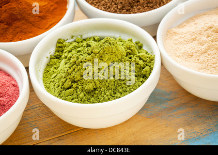 Moringa Blattpulver in einer kleinen Schüssel unter anderen Superfrucht Pulver Stockfoto