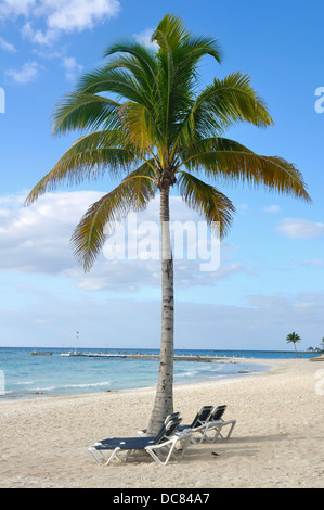 Strand in Mexiko - Strandkörbe unter Palme auf Quintana Roo Tropical Beach auf der Yucatan Halbinsel, Mexiko Stockfoto