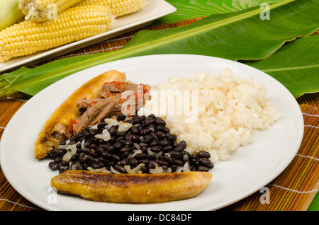 Pabellon Criollo, einem venezolanischen Klassiker sammeln einige der grundlegenden lateinamerikanischen Grundnahrungsmitteln Stockfoto