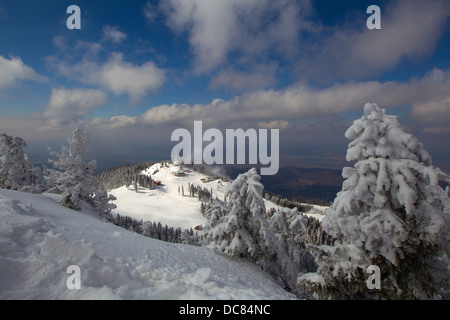 Postavaru Berge in der Wintersaison, Brasov, Rumänien Stockfoto