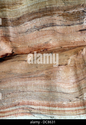 Holzmaserung in Split log Stockfoto