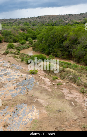 Great Fish River, Kwandwe Game Reserve, Südafrika Stockfoto