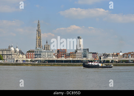 Ansicht von Antwerpen aus über den Fluss Schelde, Belgien Stockfoto