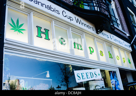 Hempshop Verkauf von Marihuanasamen und Rauchen Utensilien in Amsterdam Stockfoto