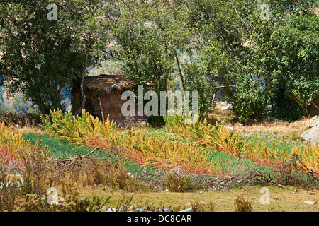 Strohhütte auf einer Farm in den peruanischen Anden, Südamerika. Stockfoto