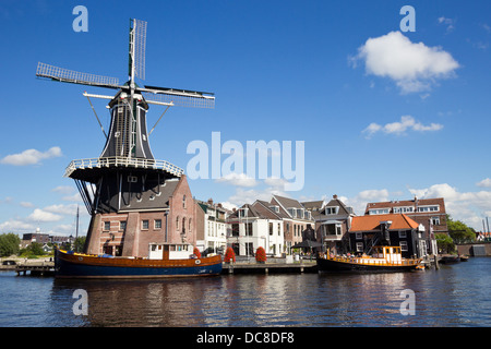 Die markante Adriaan Windmühle in Haarlem, Niederlande Stockfoto