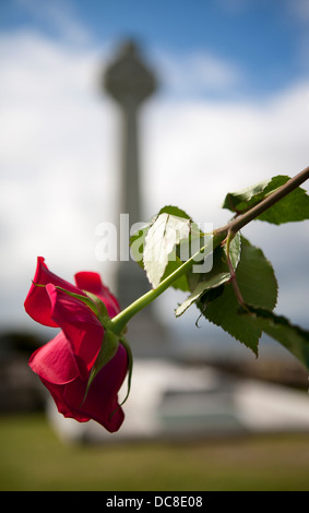 Blume am Flora MacDonald Denkmal, Kilmuir auf der Isle of Sky, Scotland, UK Stockfoto