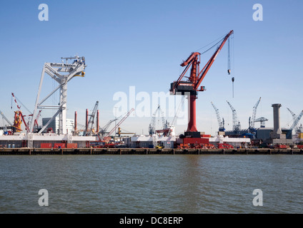 Krane-Linie Waterside wharf Ballast Nedam Unternehmen Hafen von Rotterdam, Niederlande Stockfoto