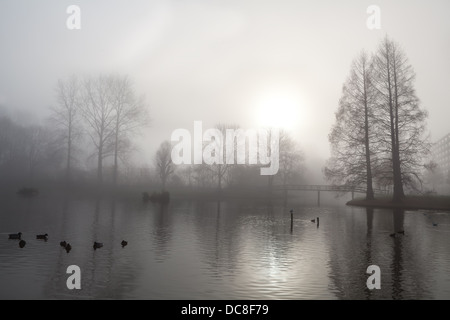 Baum-Silhouette, Brücke und See im dichten Morgennebel Stockfoto