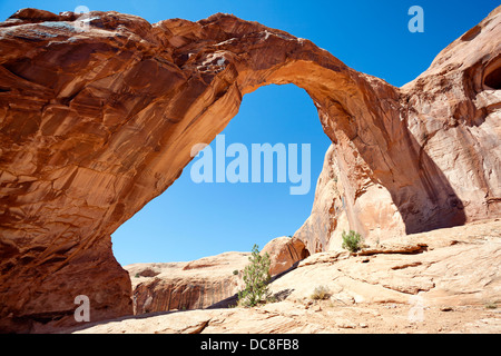 berühmte Corona Arch im südlichen Utah, USA Stockfoto