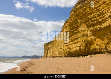 Strand und Klippen, die nach Westen von Hive Strand Burton Bradstock Stockfoto