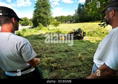 Zwei Landschaftsgärtner Mähen Sie mit einer speziellen Maschine auf der abgesperrten See Oggenrieder Weiher in Irsee bei Kaufbeuren, Deutschland, 12. August 2013. Ein Alligator-Schnappschildkröte etwas ein Junge ein paar Tage her. Der See war dann entleert, um die Schildkröte zu fangen. Foto: PETER KNEFFEL Stockfoto