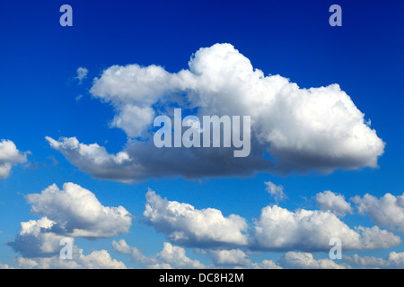 Blauer Himmel, weiße Geschwollene cumulus Wolken, Wolke, Himmel, Meteorologie, Wetter,,, Hintergrund Stockfoto