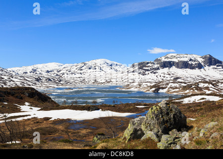 See Kjelavatn mit Schnee auf Hügeln und Hochmoor Plateau im Frühsommer. Hardanger, Telemark, Norwegen, Skandinavien Stockfoto