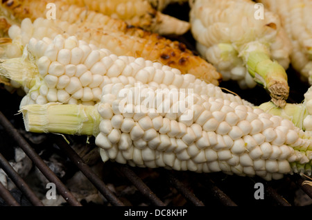 Ecuador, Quito-Bereich. Otavalo Markt. Lokalen Maiskolben auf dem Grill rösten. Stockfoto