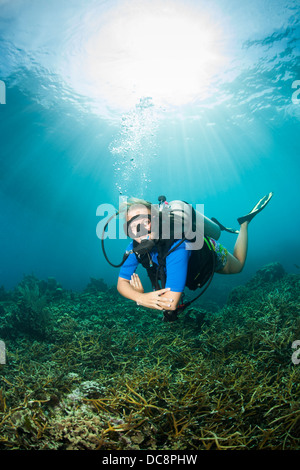 Taucher mit Sonnenlicht über die Insel Roatan, Honduras. Stockfoto